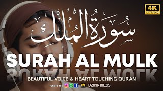 Surah Al Mulk سورة الملك | Powerfull Dzikir Will Change Your Life | Heart Touching Voice | Alaa Aqel