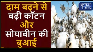 अच्छे दाम ने बढ़ाई कॉटन और सोयाबीन की बुवाई #soyabean #cotton #kapas #sowing #fasal #business