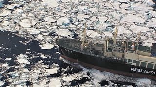 The Yushin Maru No 1 and Nisshin Maru  are spotted then flee through ice fields