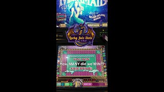 VF - What's Behind the Mystical Mermaid Slot Machine Magic?