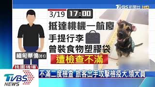 不滿二度檢查　旅客出手攻擊檢疫犬、領犬員