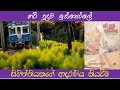 හරි පුදුම ඉස්කෝලෙ audiobook sinhala