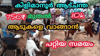 കിളിമാനൂർ ആട് ചന്തയിൽ വിലക്കുറവിന്റെ ചാകര #goatmarketkerala #anwarkerala #shojiravi