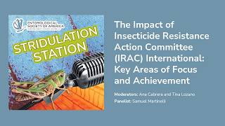 The Impact of IRAC International: Key Areas of Focus and Achievement