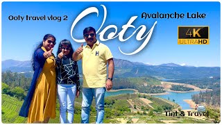 Bangalore to Ooty road trip | Avalanche Lake | Nilgiris Reserve | Toda Hut | Paradise Prefect