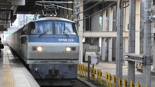 【#129号機の日】EF66 129代走 遅2059レ 稲沢駅