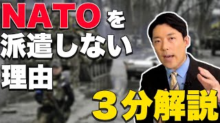 【３分解説】なぜNATOは侵攻しないのか？【切り抜き】