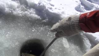 ICE FISHING TRIP HAMMER IN HINGHAM, MA