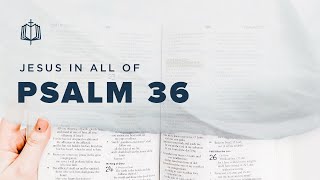 Psalm 36 | Your Love Reaches to the Heavens | Bible Study