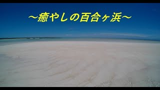 【ヨロン島紹介】癒やしの百合ヶ浜