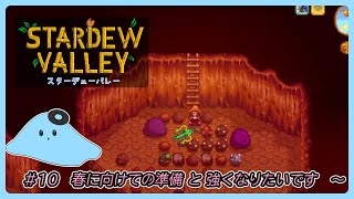 〖 Stardew Valley 〗 ＃10 春に向けて整えたいです。 〖 スターデューバレー 〗