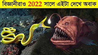 ১০ টি অদ্ভুত সামদ্রিক প্রাণী যা দেখার জন্যও কপাল লাগে ! 10 rare \u0026 beautiful sea creatures,fishes