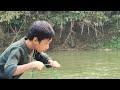 Fish trapping technique, an orphan boy khai blocks streams to make fish traps to sell