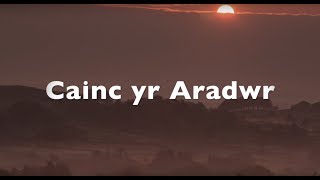 Cainc yr Aradwr