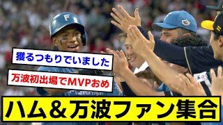 【初MVP受賞！】ハム＆万波ファン集合！