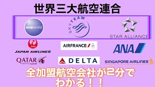 【飛行機写真のみ】ワンワールド、スカイチーム、スターアライアンス全ての加盟航空会社まとめ集※スカンジナビア航空に関しては概要欄にて #shorts