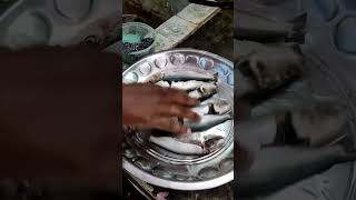 💥சுவையான 🫕பொரித்த 🐟🐟மத்திமீன்😋💥#pollachi #fishingvideo #foodlover