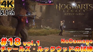 【ホグワーツ・レガシー】#18チャールズ・ルックウッドの試練vol.1 NoDamege 5.1chサラウンド Hogwarts Legacy高画質レイトレーシング