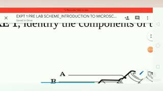 Pre Lab 1- Basic Technique In Microscopy