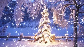 [10 Hours] Snowfall on Christmas Tree at Dusk - Video \u0026 Audio [1080HD] SlowTV