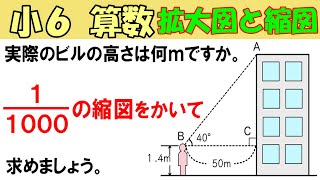 算数 小6-49　拡大図と縮図７　縮図をかいて，実際の長さを求める