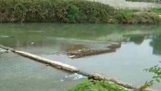 The Hirose River was cloudy in the early morning