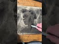 timelapse of 5 minute charcoal sketch