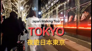 Tokyo Japan Walking Tour | Dec 2024 -  Jan 2025 | 街拍 日本 東京 (1)