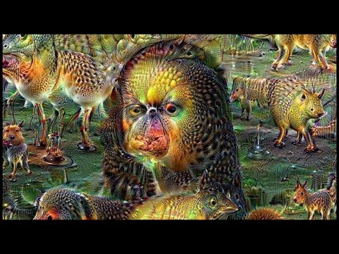 Google Deep Dream Pareidolia Creativity Pareidolia Know Your Meme