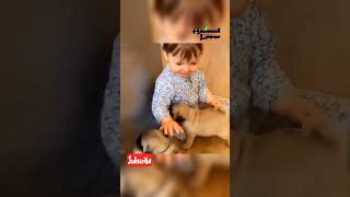 Cute Baby Playing With Dogs Compilation - Baby Pets Video @aww