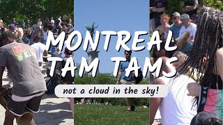 Sunday Tam Tams MTL 2023- Not a cloud in the sky!