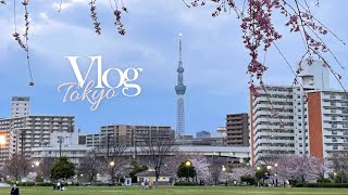 ⌠Tokyo vlog⌡ 공부하는 도쿄직장인📚| 일본슈퍼 장보기 🛒 | 숨겨진 벚꽃명소 🌸 (재택근무, 초간단 오븐파스타, 大島小松川公園, 에스트라 수분크림)