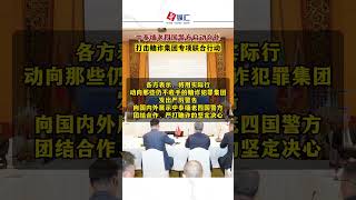 中泰缅老四国警方启动合作打击赌诈集团专项联合行动