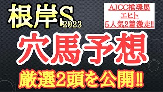 【根岸ステークス2023】穴馬予想！東京ダート1400ｍのラップ傾向とメンバー構成から激走見込める2頭を厳選！その馬たちとは！？