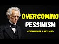 Schopenhauer & Nietzsche Overcoming Pessimism Part 1