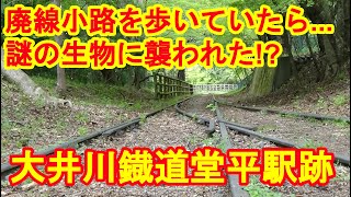 廃線小路を歩いていたら...謎の生物に襲われた!?