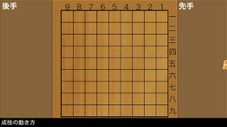 【初心者のための将棋講座】桂馬と成桂の動き方