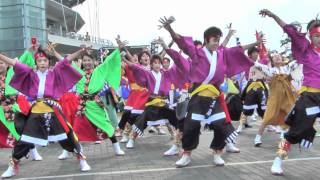 2011 ひまわりフェスティバル（総踊り）－ちばYOSAKOI村