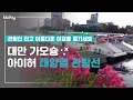 대만여행｜대만 가오슝 아이허 태양열 관람선! 관람선 타고 아름다운 야경을 즐기세요 (KKday)