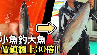 【以小博大】每條價值100的魚換價值3000的魚?! 高級生魚片吃三天吃到會怕... | 2021/04/28