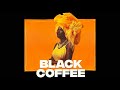 afro house mix 2024 black coffee keinemusik liva k valer den bit