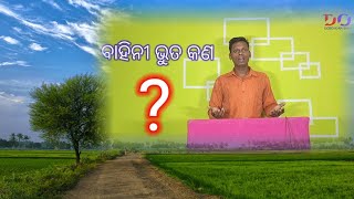 what is devil 👿 ବାହିନୀ ଭୁତ କଣ👻☠️