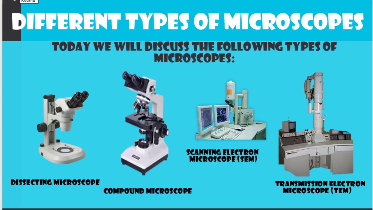 5 Types Of Microscopes With Definitions Principle Use Vrogue Co 5 Types Of Microscopes With Definitions Principle Use Vrogue Co