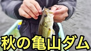 ［亀山ダムでバス釣り］難しい秋をスモラバで攻略・後編［フープジグ絶好調！］