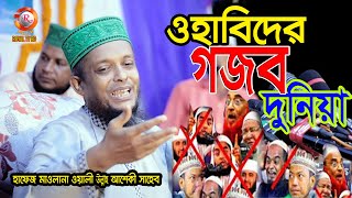 ওহাবিদের গজব দুনিয়া। মাওলানা ওয়ালী উল্লাহ আশেকী ওয়াজ | waliullah aashiqui waz new 2021 | ROYAL TV