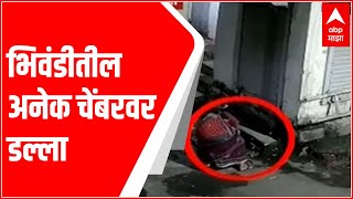 Bhiwandi : लोखंडी चेंबर चोरणारी महिला गॅंग, भिवंडीतील अनेक चेंबरवर डल्ला ABP Majha