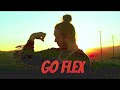 Go Flex (Dollar Bear Flip) - Post Malone