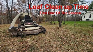 Leaf Clean up Time First One Of The Season