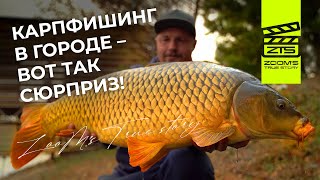 Карпфишинг в городе - вот так сюрприз! / ZooM’s True Story