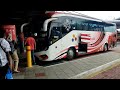 Trip Johor Bahru to Muar By Mayang Sari bus Best of the Best | Malaysia